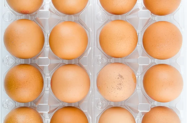 Packed eggs
