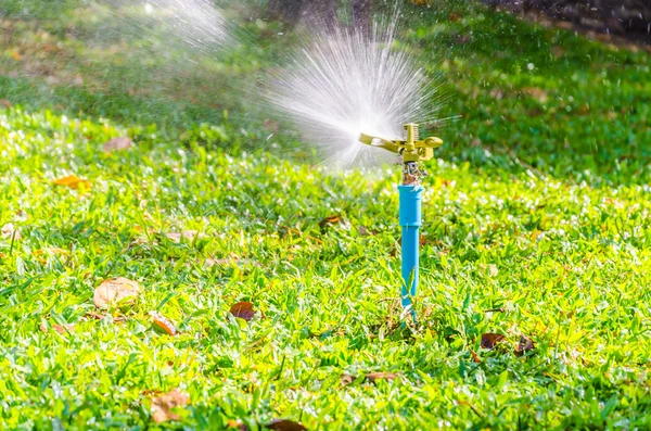 Sprinkler head watering in the garden