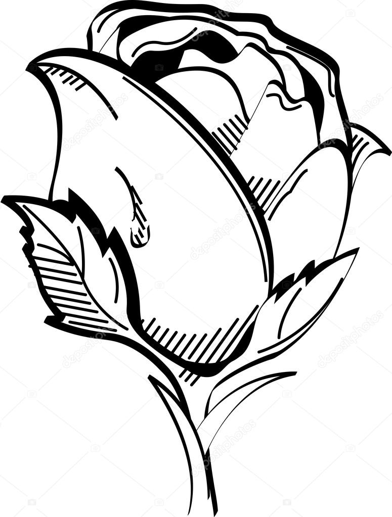 Black And White Rose Artwork Black And White Rose Artwork