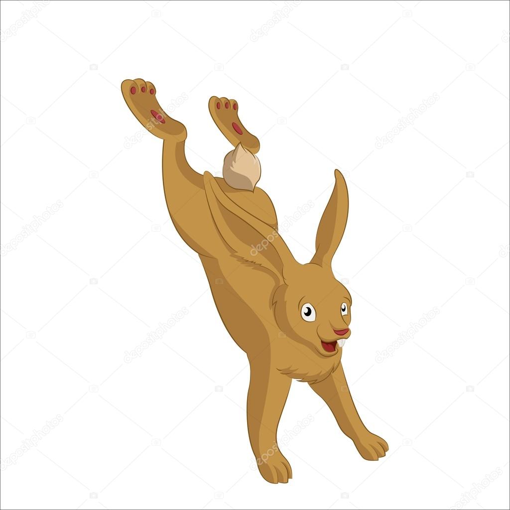 Liebre de dibujos animados — Vector de stock © Kolonorf #19362201