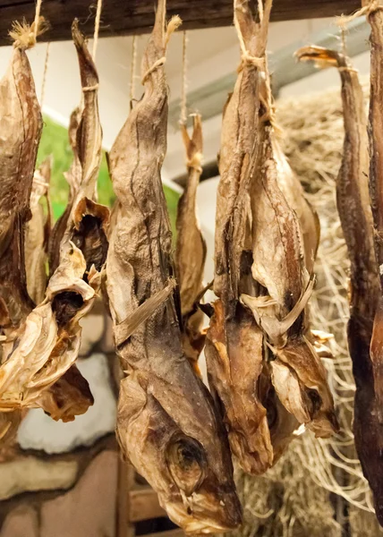 Dried Cod fish in Iceland