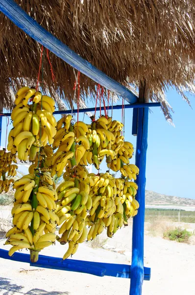 Bunch of small yellow bananas for sale on the way to famous beach of Vai, Crete, Greece