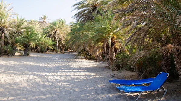 Famous palm beach of Vai, island of Crete, Greece