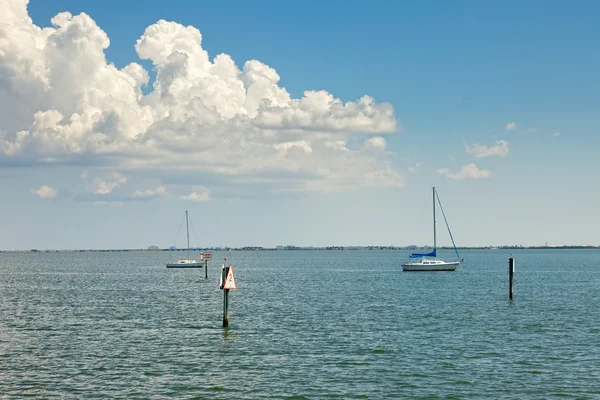 Sailboats Anchored in Tampa Bay, Florida