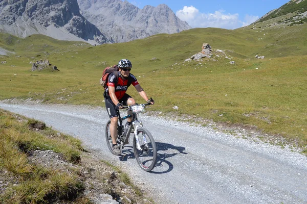 Mountain biker riding though Swiss mountain area