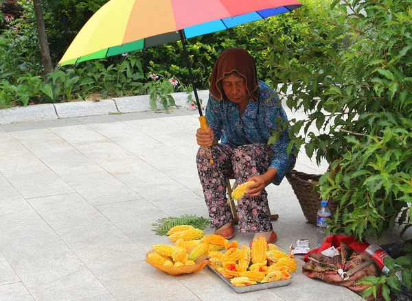 The saleswoman  of fruit in China