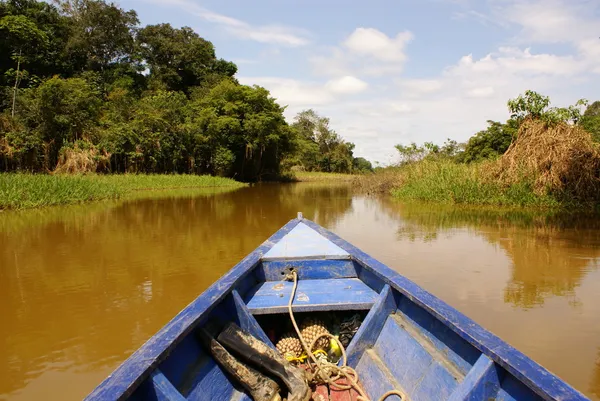 On the way of going fishing in Amazon jungle river, during the late of afternoon, in Brazil.