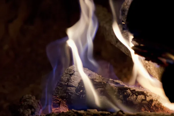Flames on wood embers detail