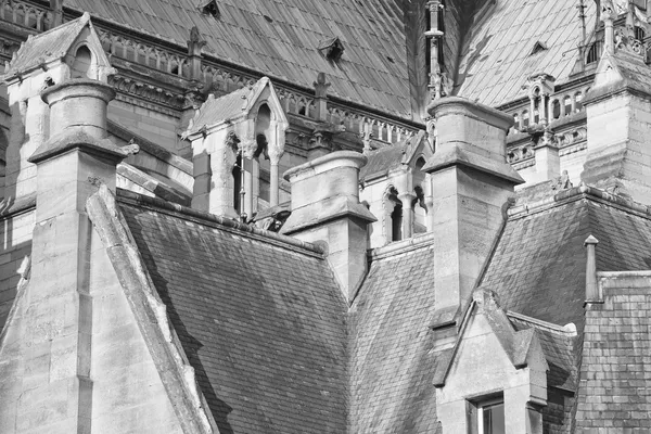 Notre dame paris cathedral external view in black and white
