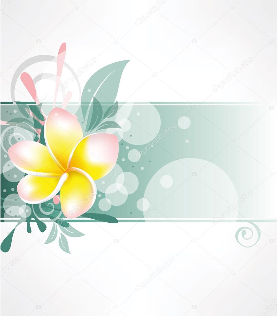 Single Plumeria Vector