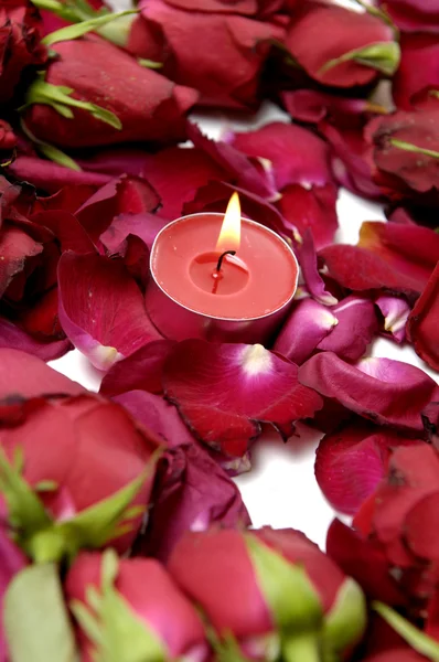 Red candle with rose petals
