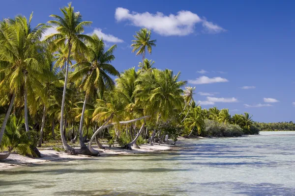 Cook Islands - South Pacific