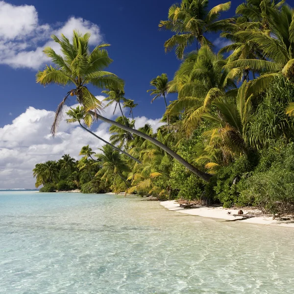 Aitutaki Lagoon - Cook Islands - Polynesia