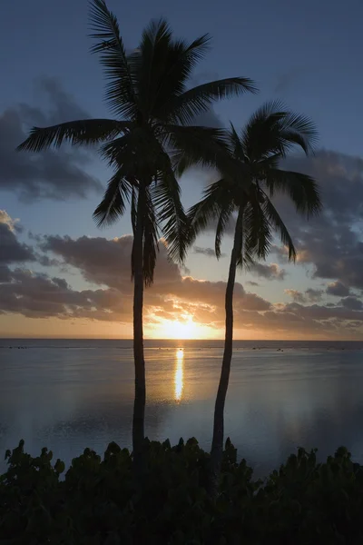 Cook Islands South Pacific Ocean