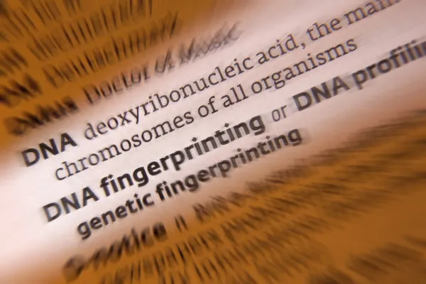 an analysis of the definition and the uses of dna deoxyribonucleic acid Deoxyribonucleic acid is a molecule composed of two chains (made of nucleotides) which coil a large part of dna (more than 98% for humans) is non -coding, meaning that these sections do not serve as patterns for protein sequences this ancient rna world where nucleic acid would have been used for both. an analysis of the definition and the uses of dna deoxyribonucleic acid Deoxyribonucleic acid is a molecule composed of two chains (made of nucleotides) which coil a large part of dna (more than 98% for humans) is non -coding, meaning that these sections do not serve as patterns for protein sequences this ancient rna world where nucleic acid would have been used for both.
