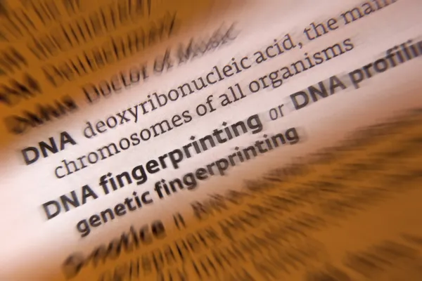 DNA - Dictionary Definition