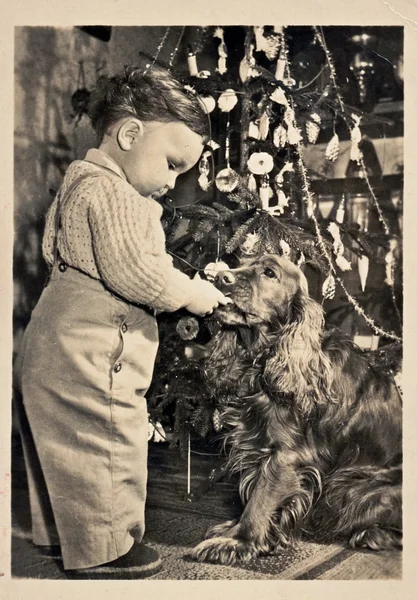 Christmas time (Boy, dog - cocker spaniel, Christmas tree)