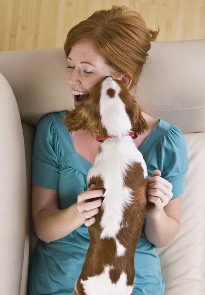 Dog Licking Woman