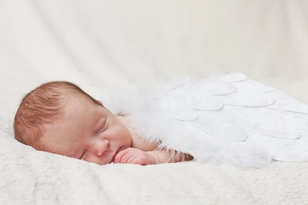 recién nacido durmiendo en las alas de los Ángeles — Foto stock ... recién nacido durmiendo en las alas de los Ángeles — Foto stock ...