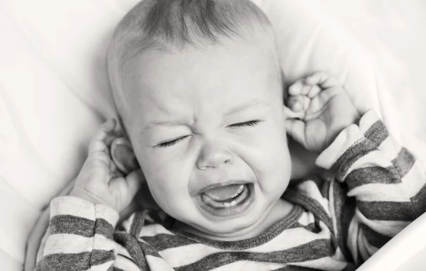 Cute little boy crying holding his ear