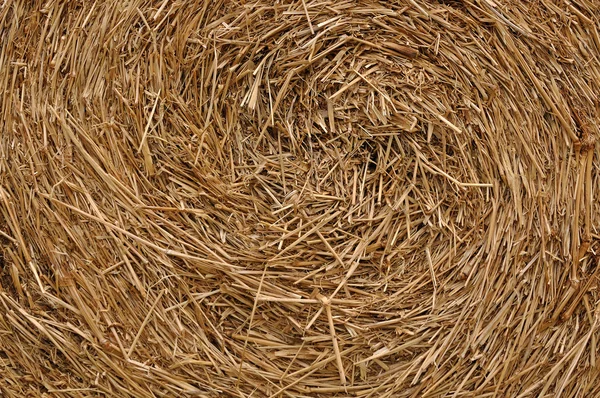 Close up roll of haystack, swirl pattern.