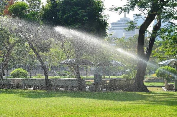 Watering green lawn