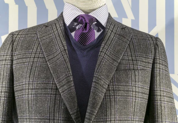Grey Checkered Jacket with Blue weater and Purple Tie (horizonta