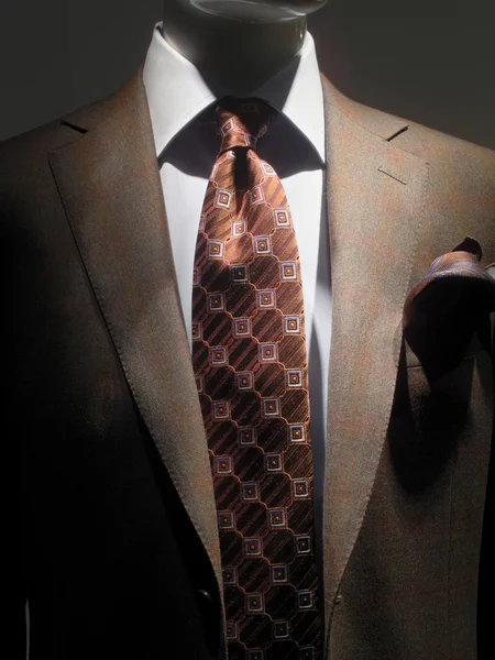 Brown jacket and tie (vertical)