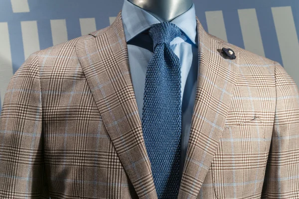 Tan Checkered Jacket With Blue Shirt & Blue Knit Tie (Horizontal