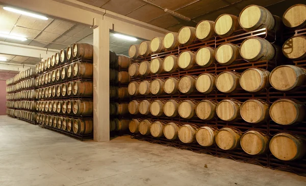 Wine barrels in an aging cellar