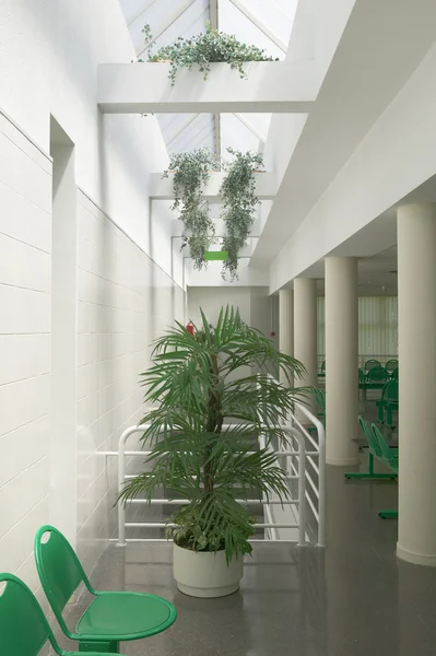 Modern building interior with plants and chairs