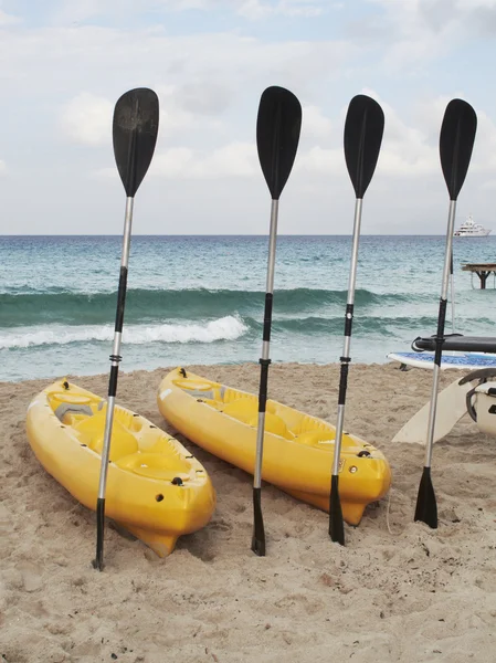 Paddles and kayaks on the beach