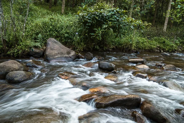 Stream in the forest of  Thailand. National park Doi Inthanon