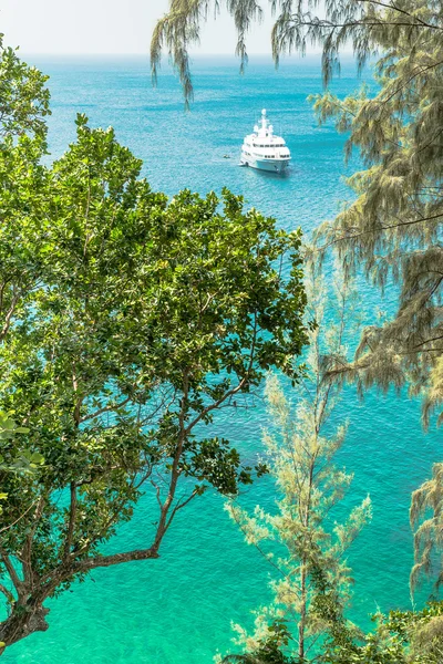 White luxury cruise ship and tree