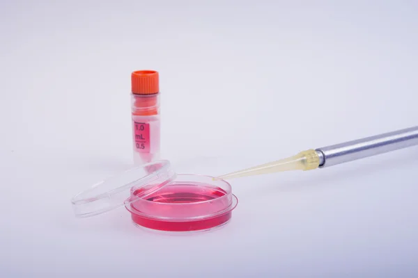 Biochemical tests of cell culture.