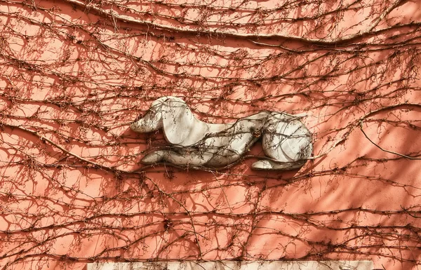 Bas-relief of a dog on the grape-covered wall