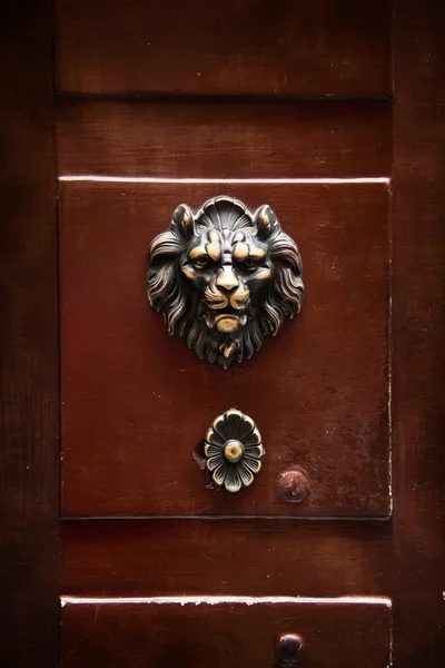 Antique door knocker in the form of a lion\'s head on old door, R