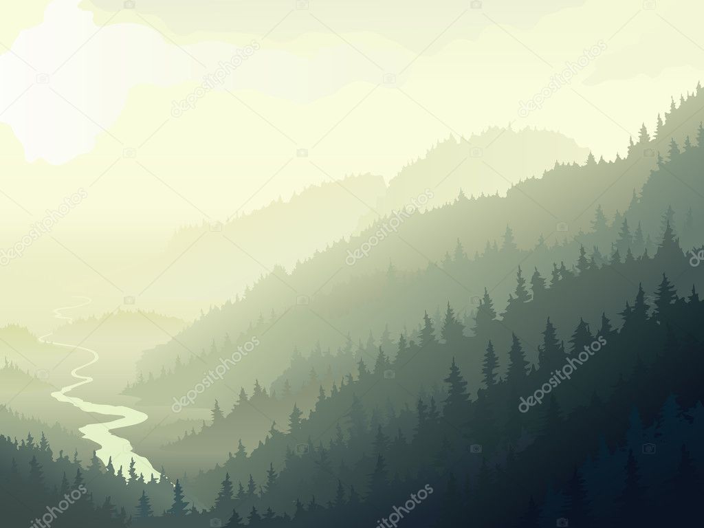 http://st.depositphotos.com/1938351/1833/v/950/depositphotos_18333741-Wild-coniferous-wood-in-a.jpg
