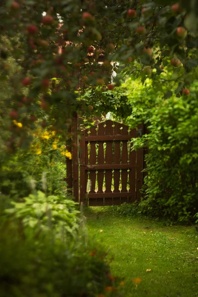 Fairy garden with a gate