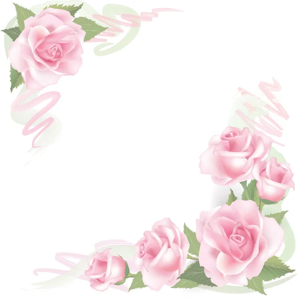 Flower Rose isolated on white background.