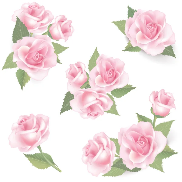 Flower rose set.