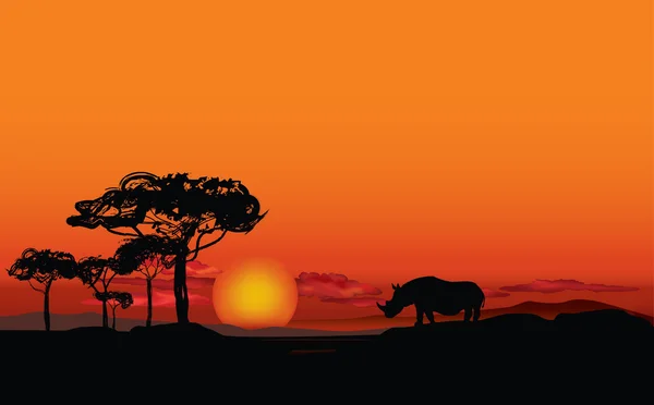 African landscape