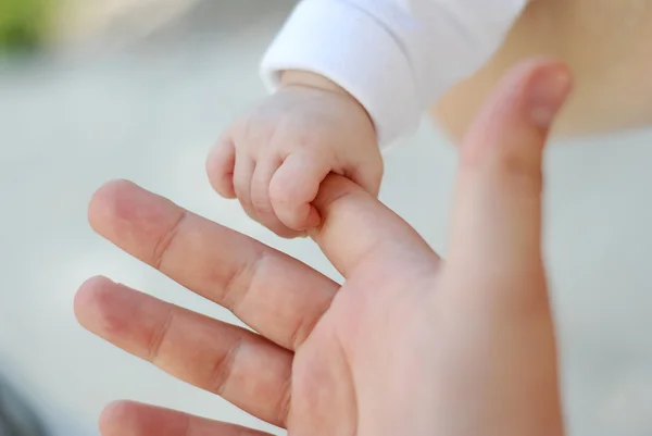 Baby hand gently holding adult