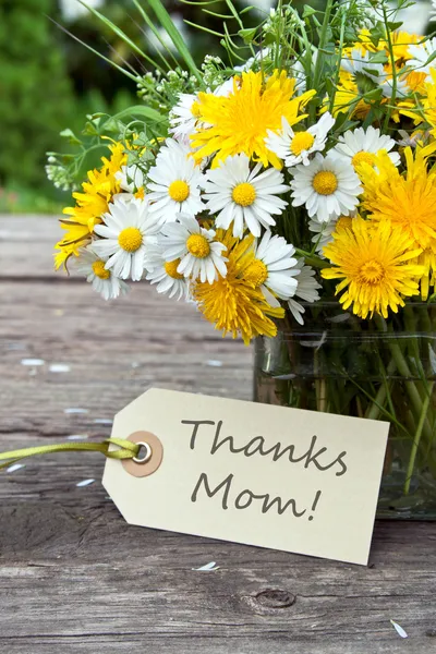 mothers day — Stock Photo #25892317