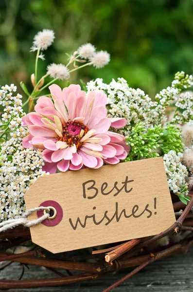 Best wishes