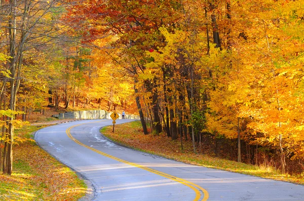 Autumn road with hiker