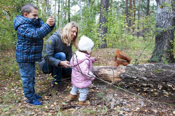 The park, the mom and son and daughter feeding a red squirrel.