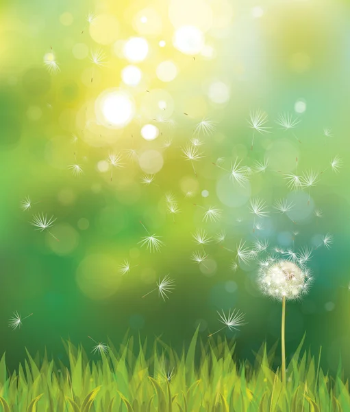 Spring background