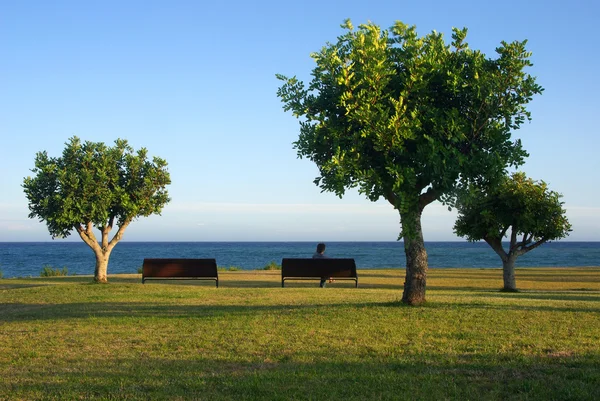 Public park near the sea