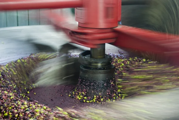 Oil mill - olive oil production